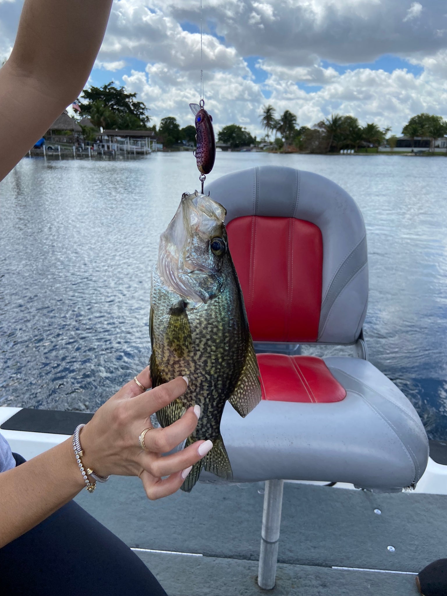 Seeker Crankbait (Purple)