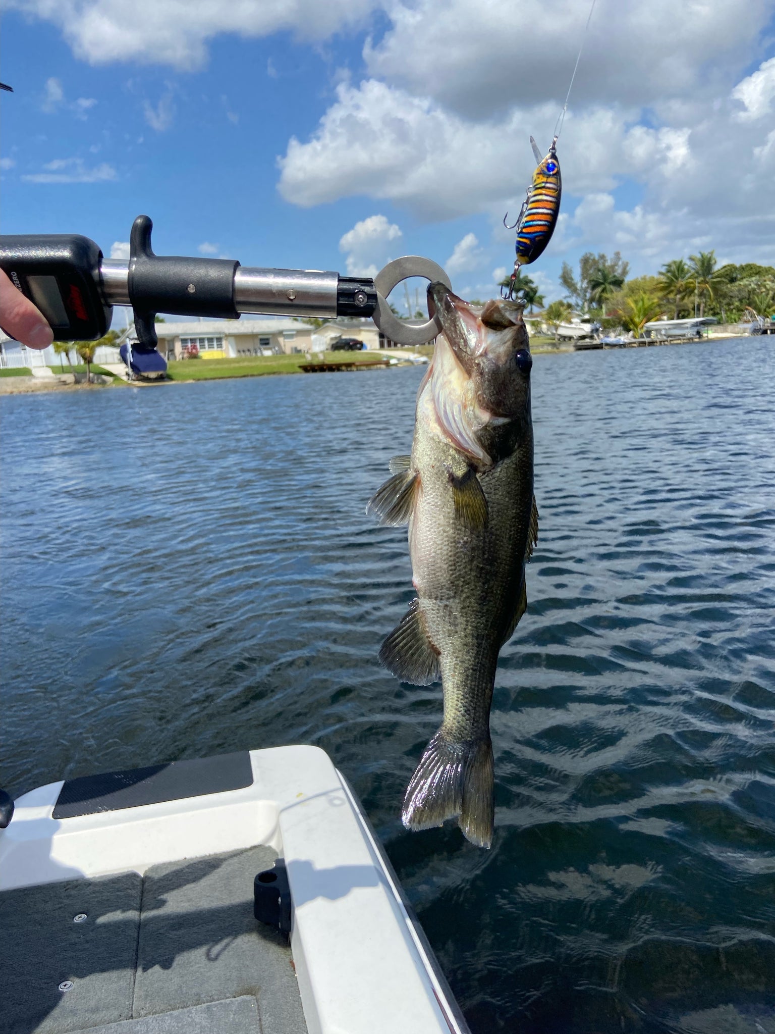 Seeker Crankbait (Tiger)