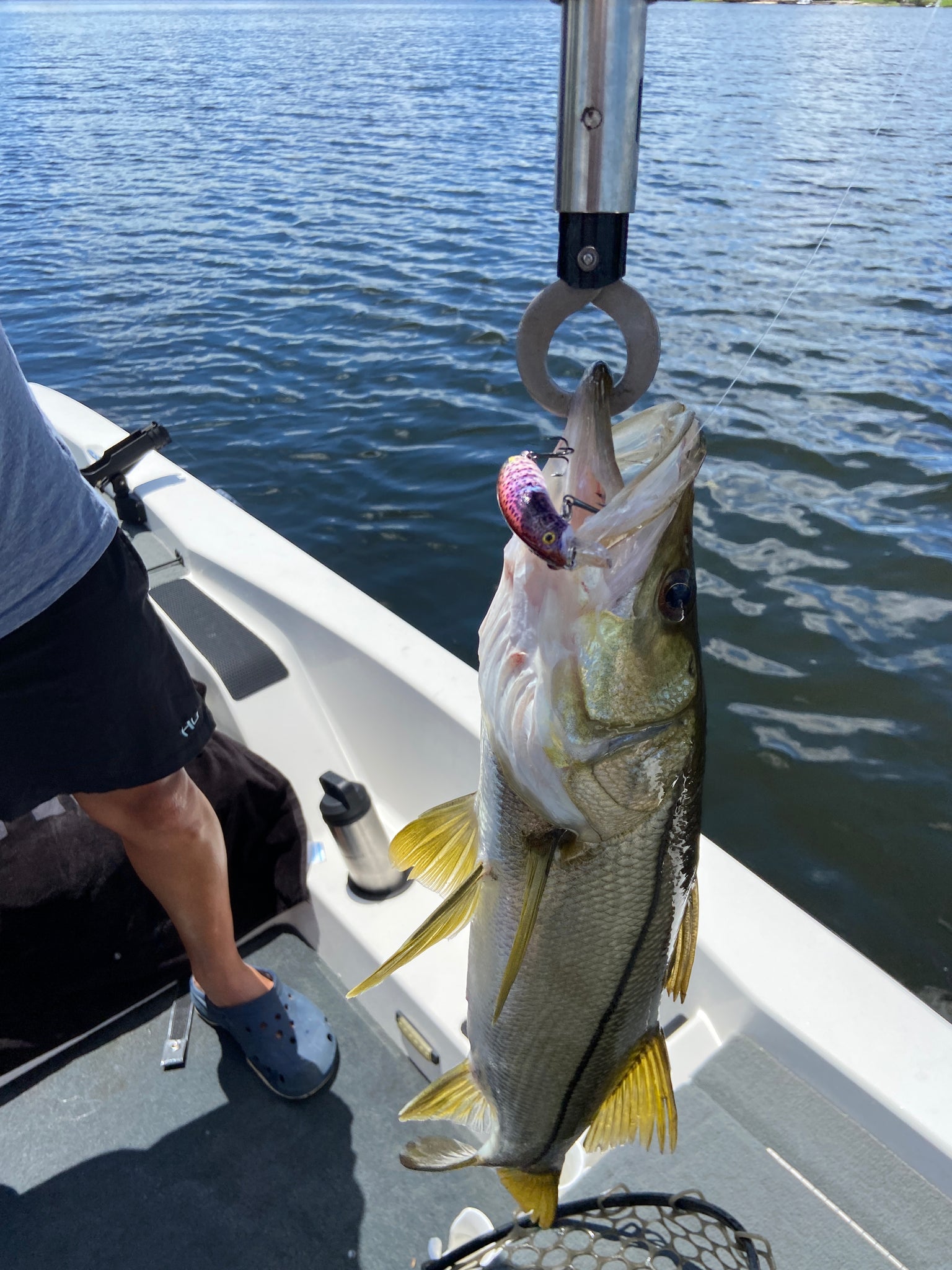 Seeker Crankbait (Purple)